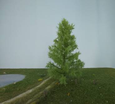 Larch spring Profiline